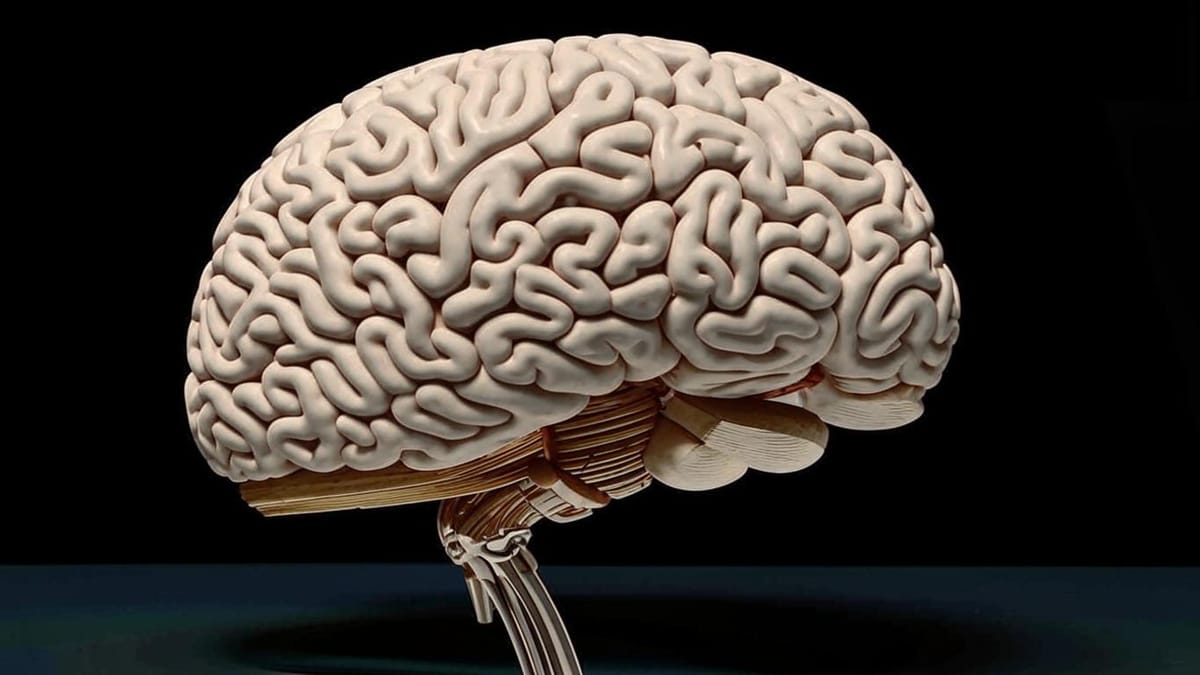 Boltzmann Brains in Psychohistory